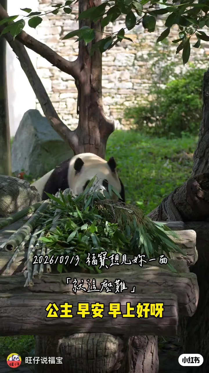 @福寶需要愛的抱抱