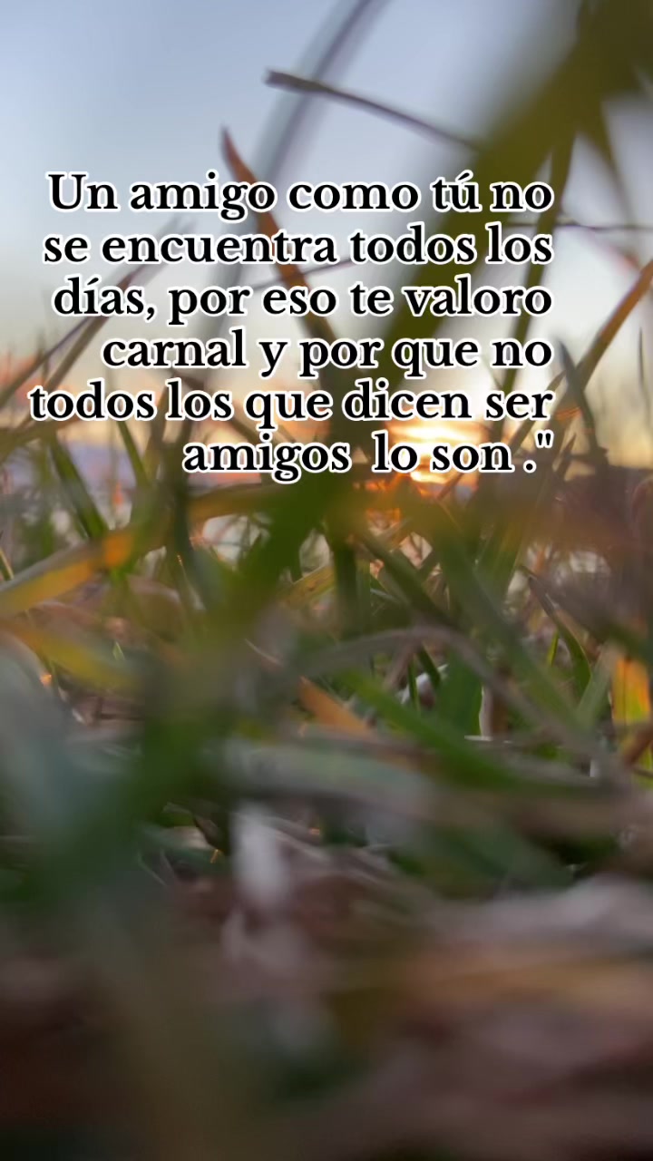 @ARTHUR EL ZINAPECUARENSE 🌎