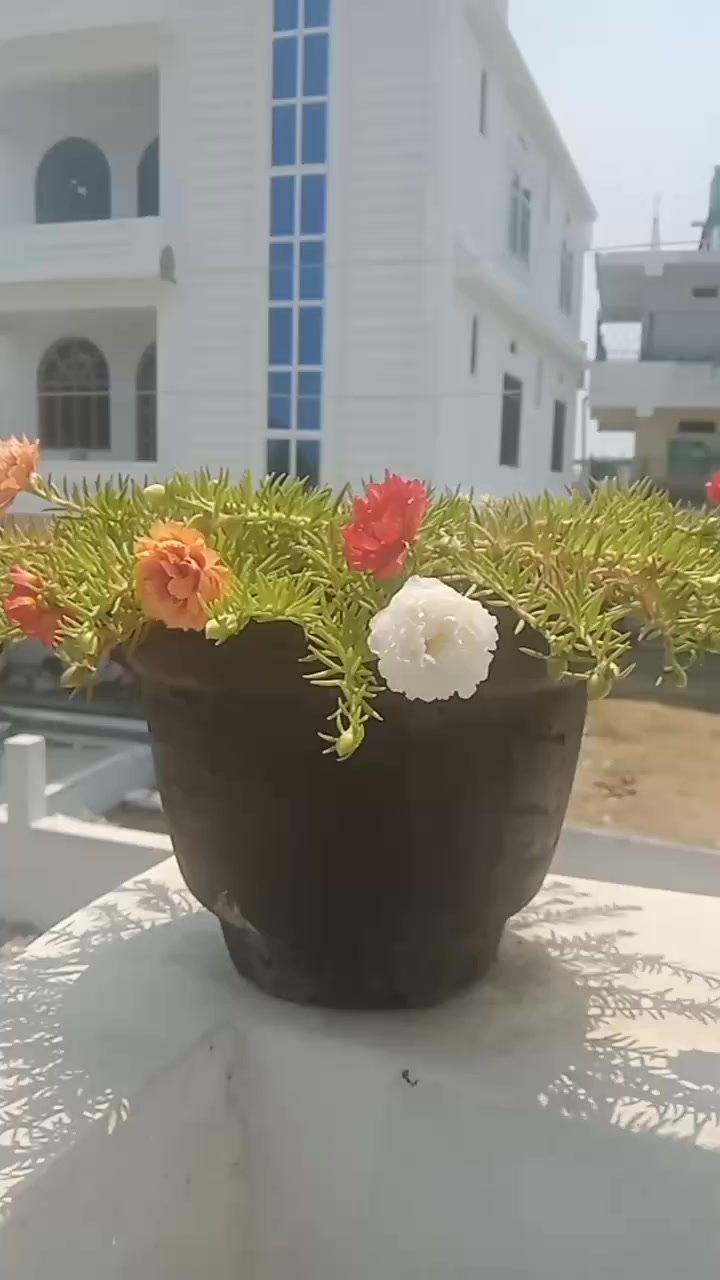 @Lurey💖Luri🥀