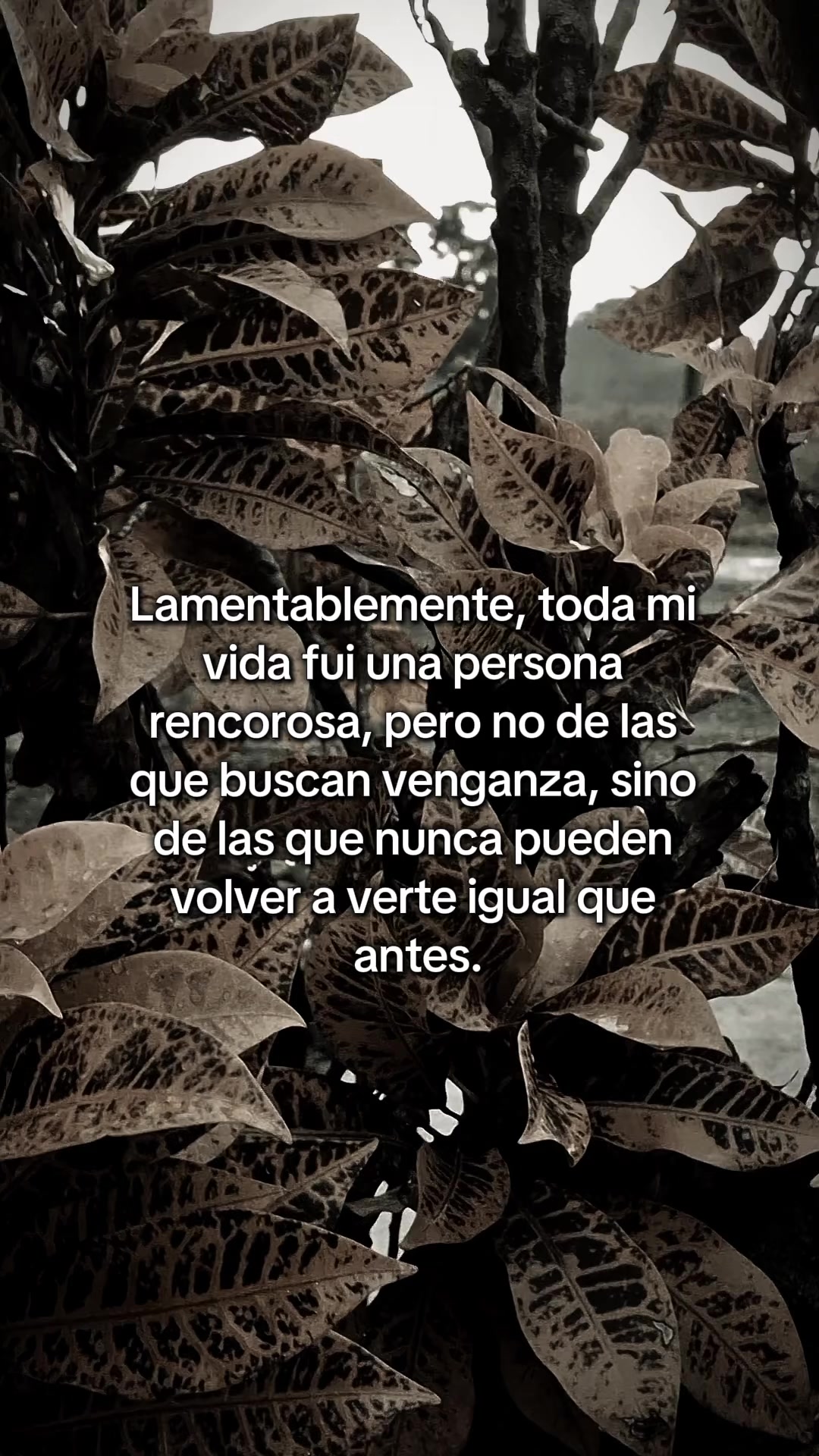@El-Comis El Rey de la Realidad