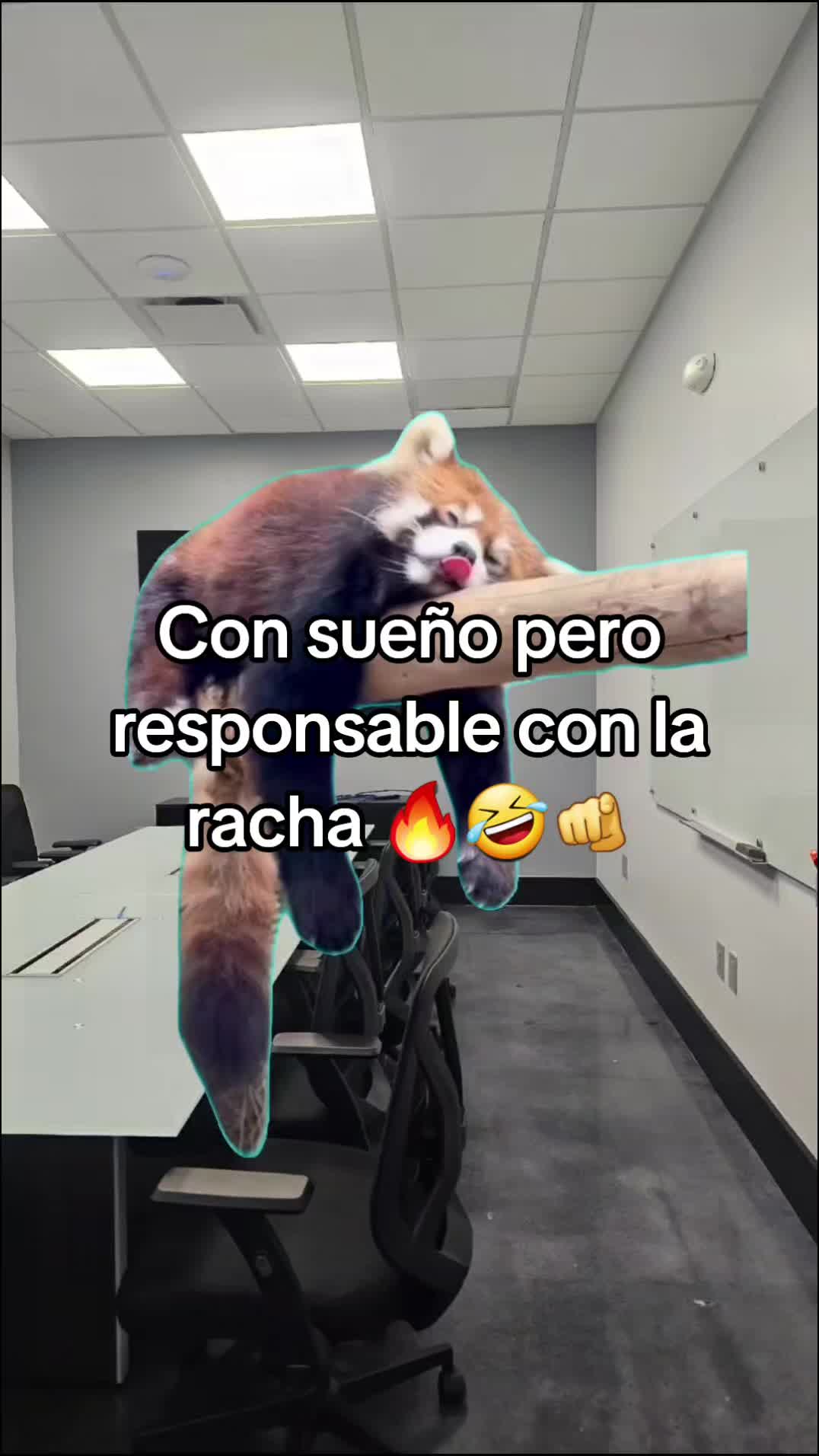 @Gabrielito 502