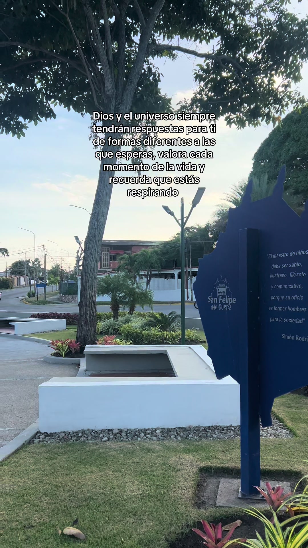 @mauriciomolina818