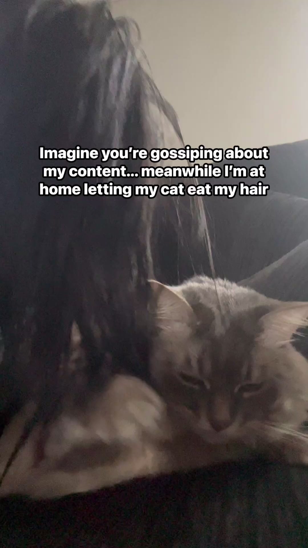 @Ayla