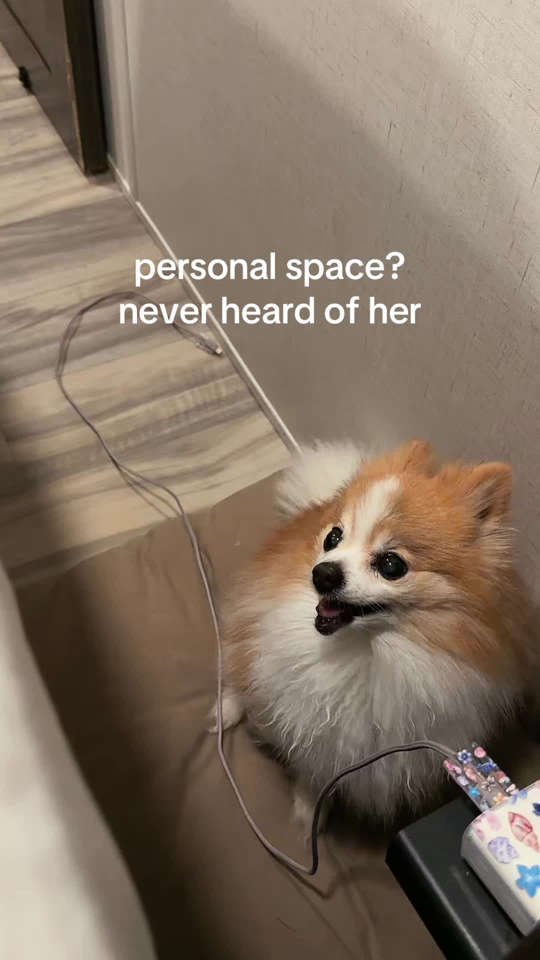 @Michelle