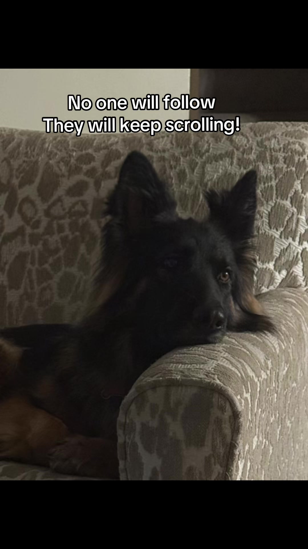 @KenLinWatercolor