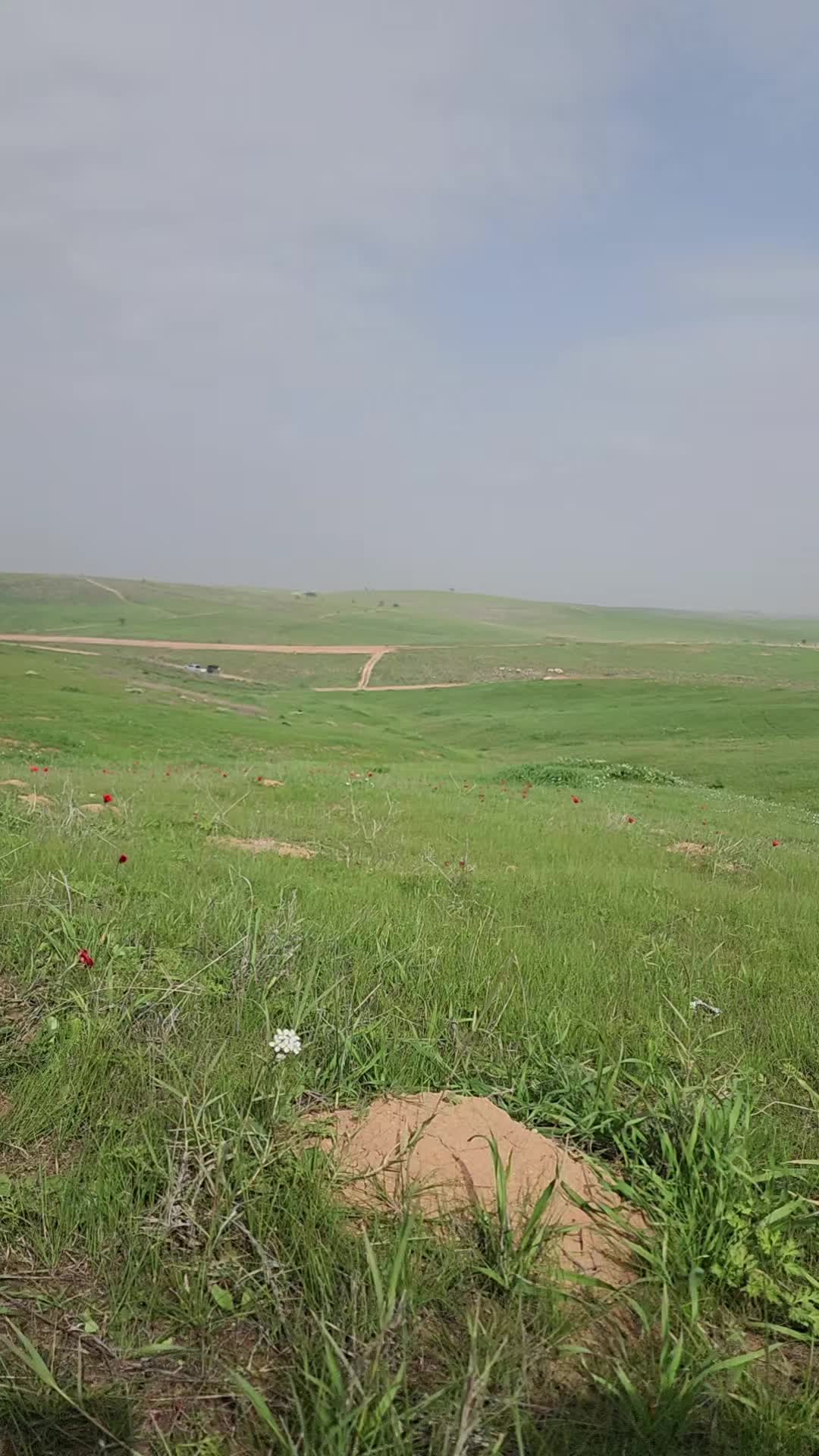 @عمر الاعسم