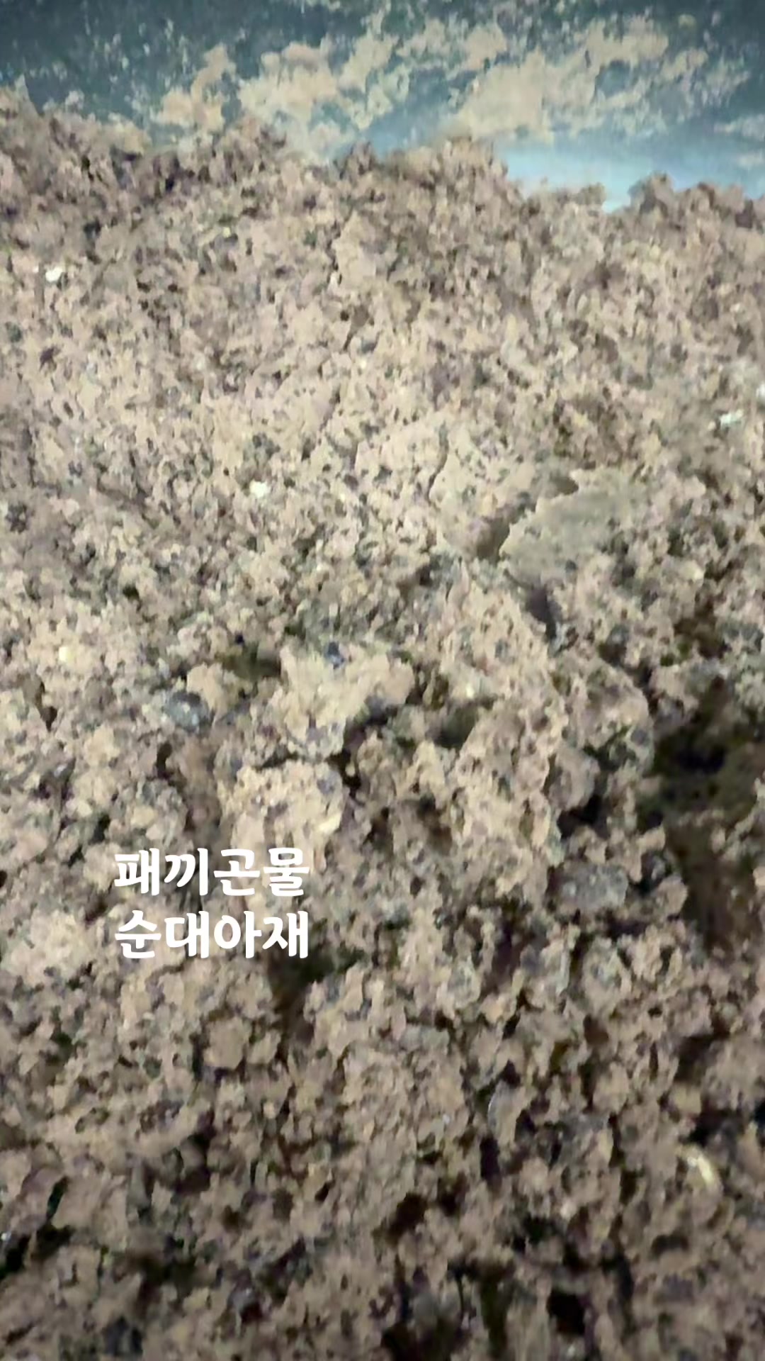 @연변 찹쌀순대 반찬