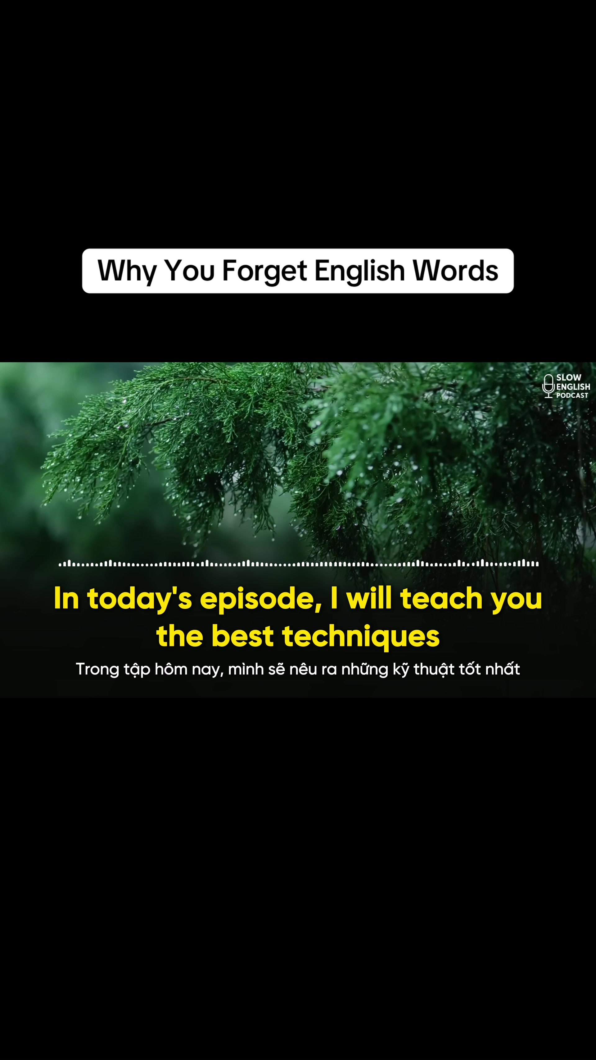 @Slow English Podcast