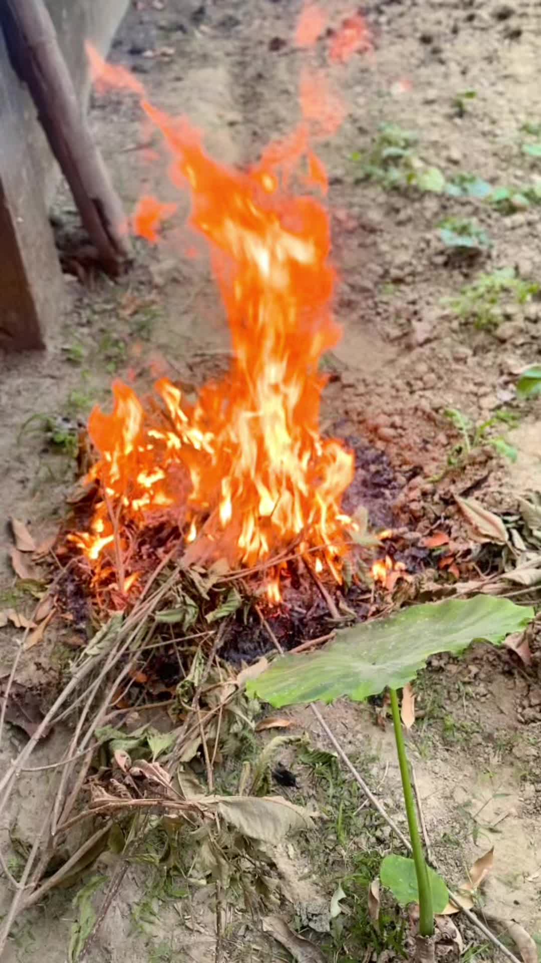 @Pabitra Parajuli