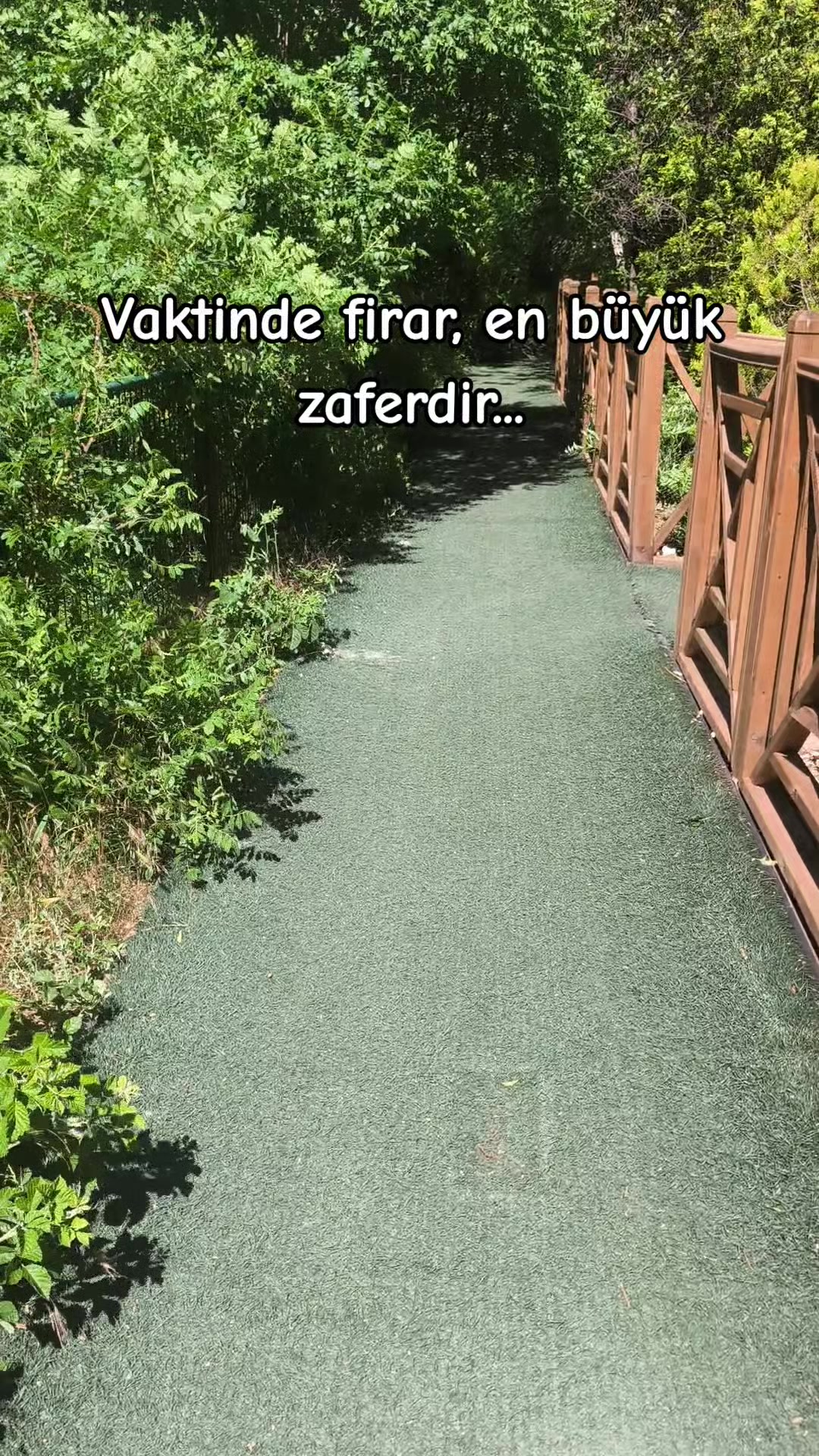 @ミ★ Ne&Ccedil;E🍁 ZOZAN ★彡