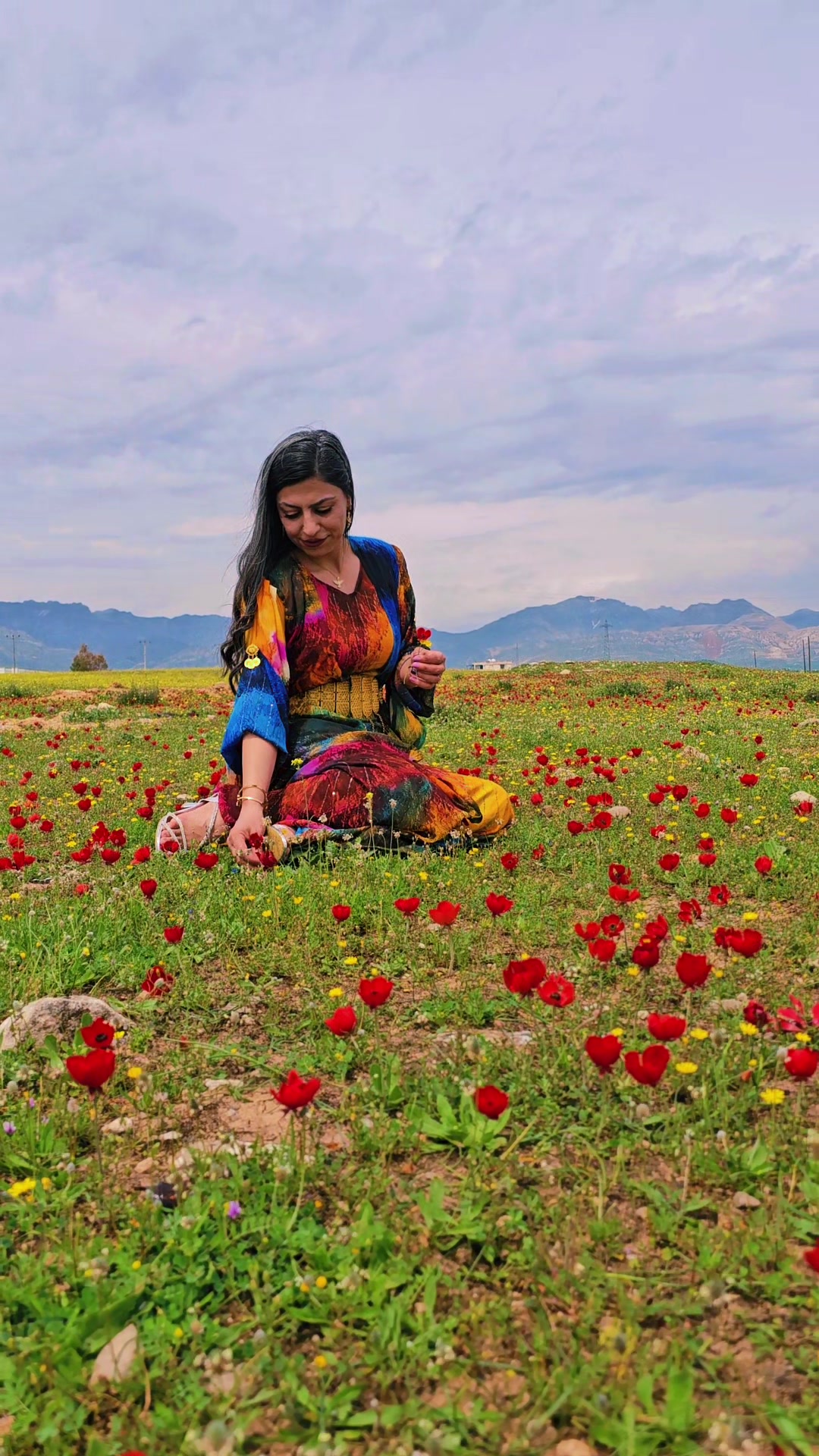 @ARYA ALAGÜN