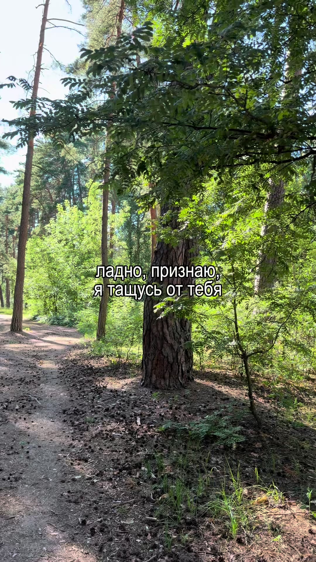 @𝐥𝐢𝐩𝐬𝐢𝐧𝐠 𝐦𝐮𝐬𝐢𝐜