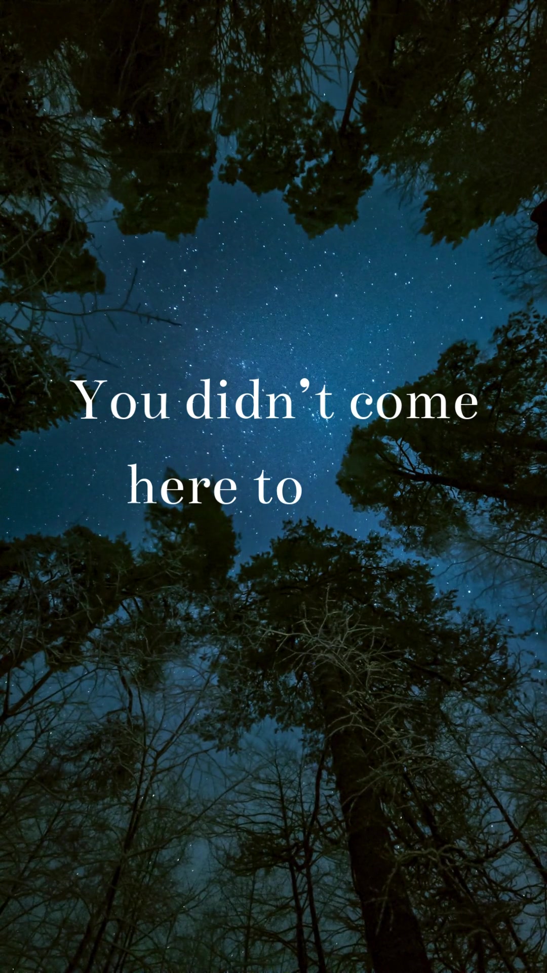 @Mitzi McMahon Official