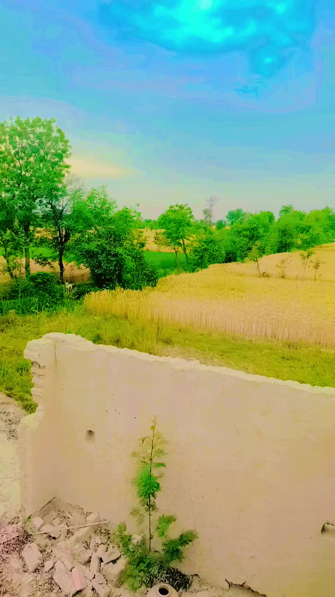 @Ladla Baloch