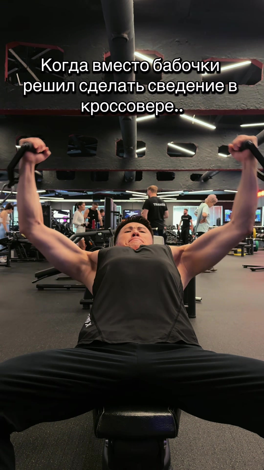 @pro100fitnessist