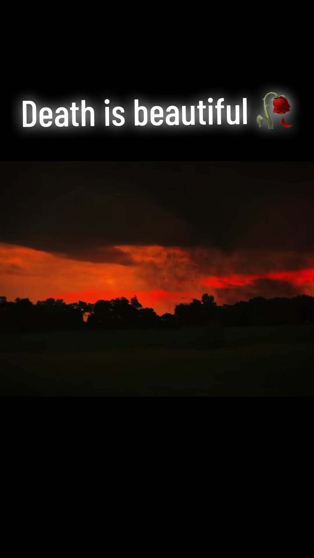 @Dead_Rose_Society