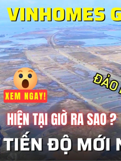 @Phước Sửu Realtor