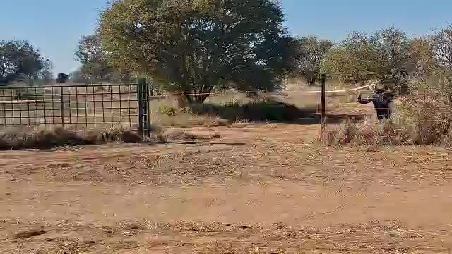 @Larona Kgwefane