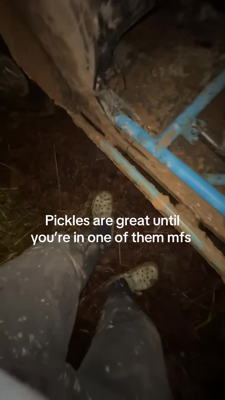 @Mudlambo