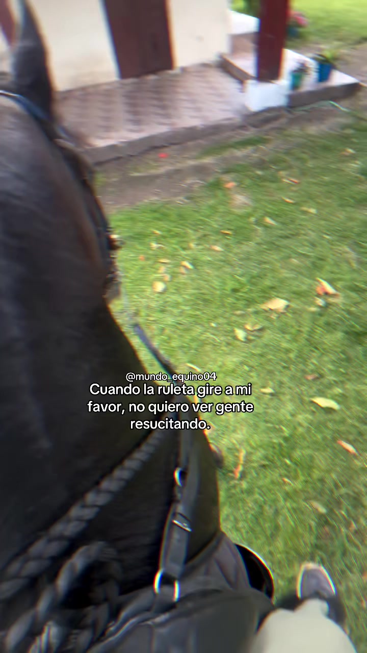 @mundo_equino04