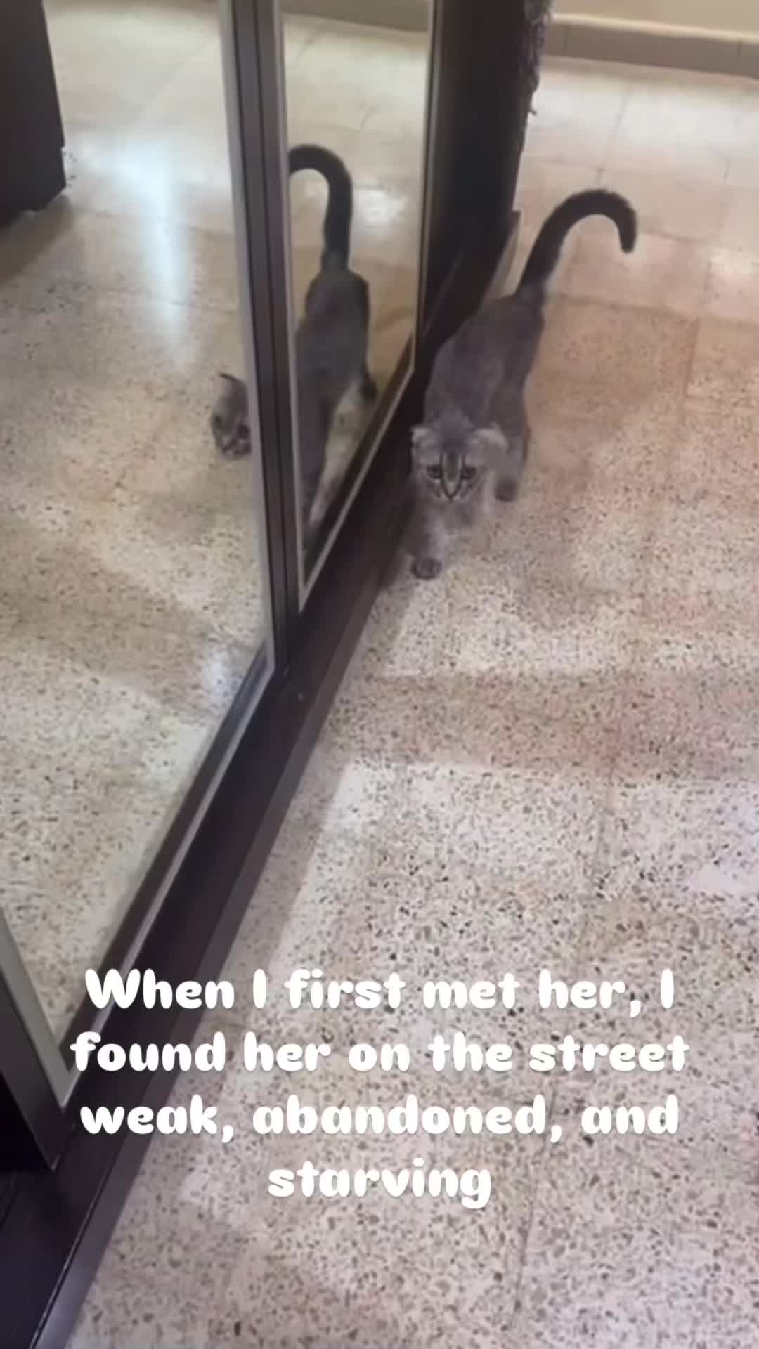 @saraaeter