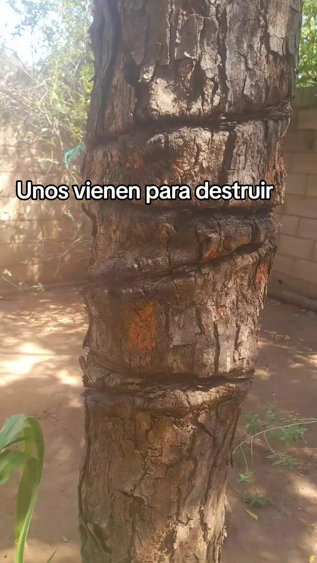 @💎🏆AkiraLuna_Oficial