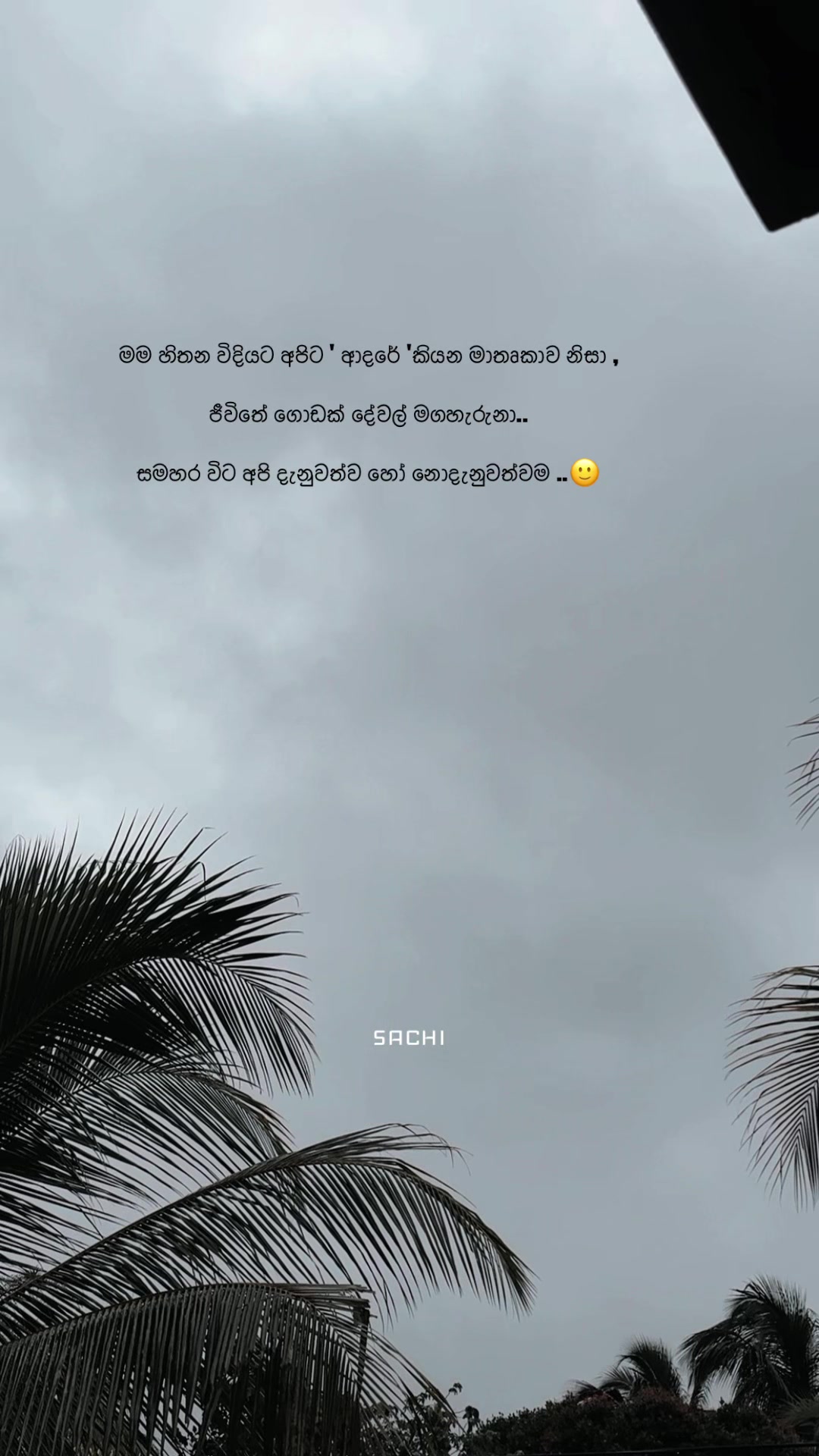@𝙎𝗮𝗰𝗵𝗶┃සචි 〲 🩸🍃