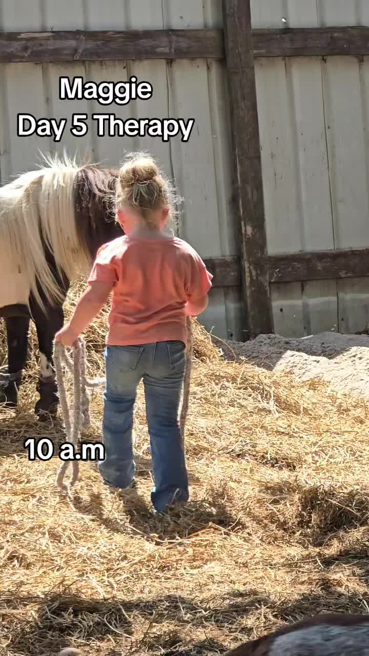 @Small Town Farm LLC