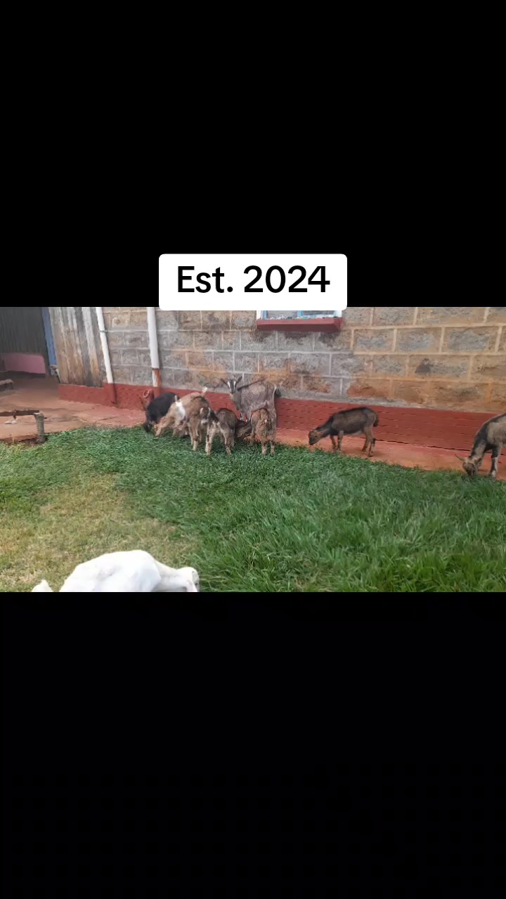 @Sam Kariuki