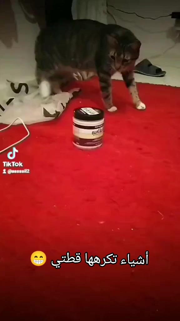 @عاشقة أبيها