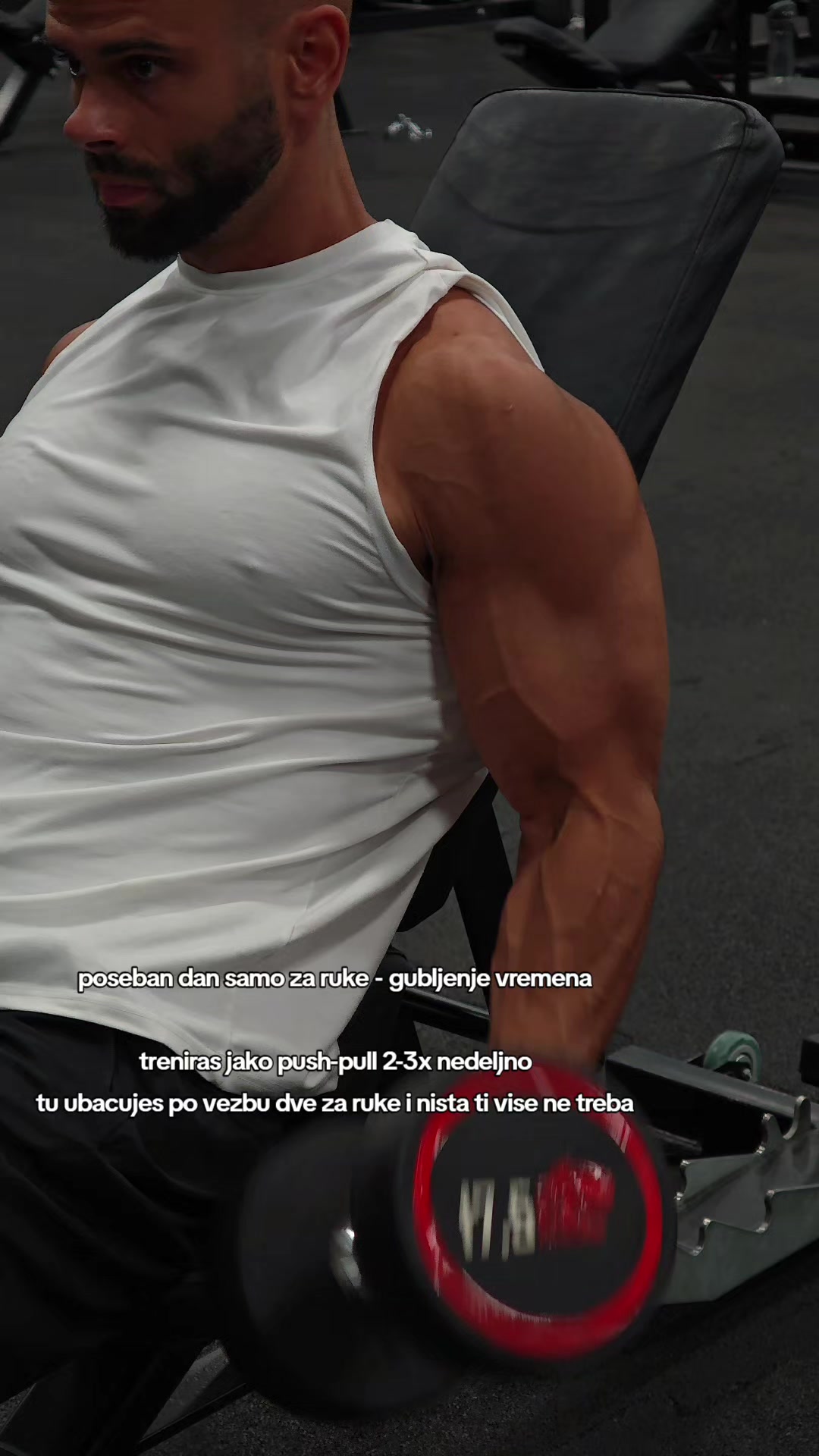 @lazarnicma