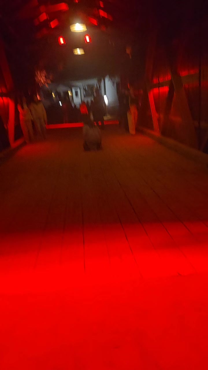@🇵🇹ŁMP💦PÜPÜCË💦#🦋ecartoé🐷