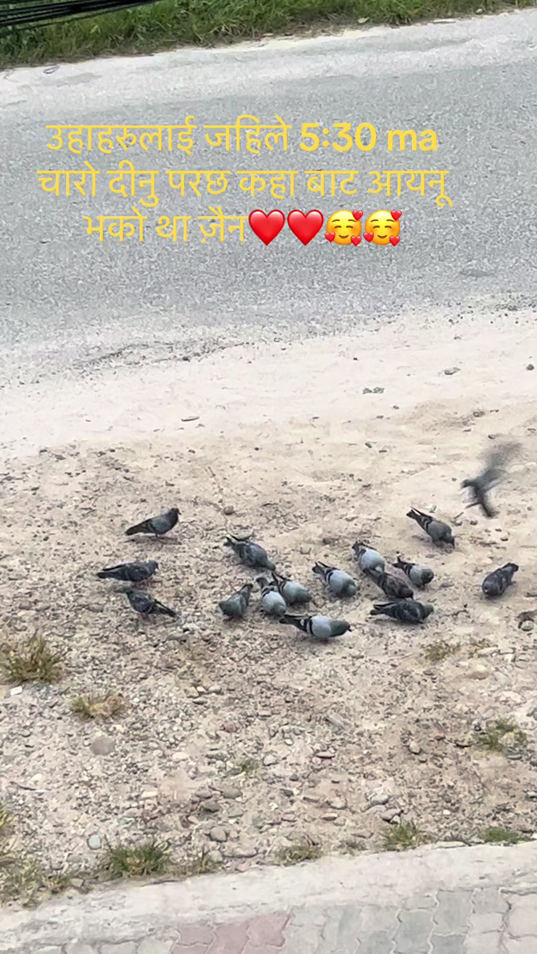 @kalpana thapa