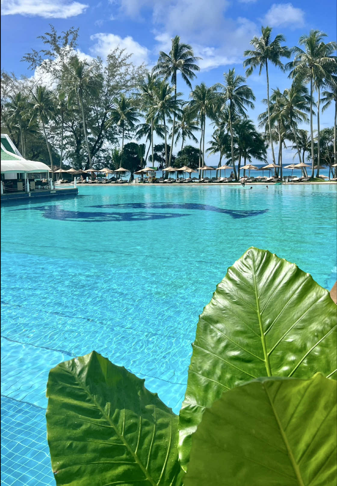 @JamboTravel