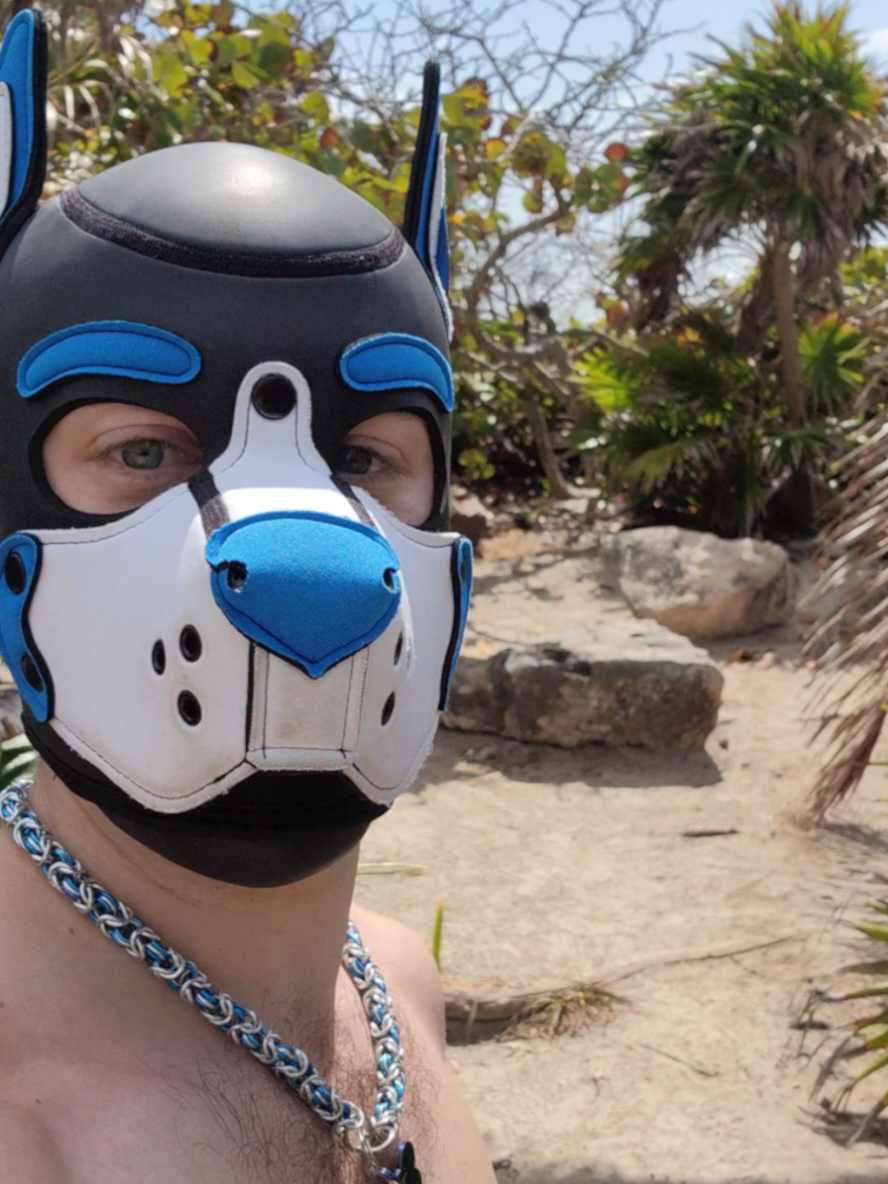 @puptosa
