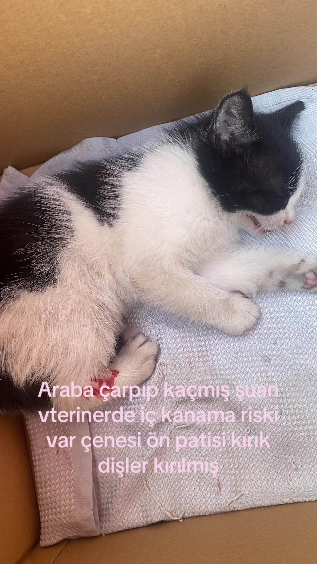 @İsimsiz