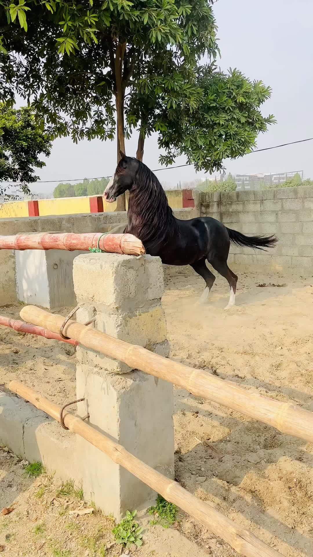 @مرزا قزل