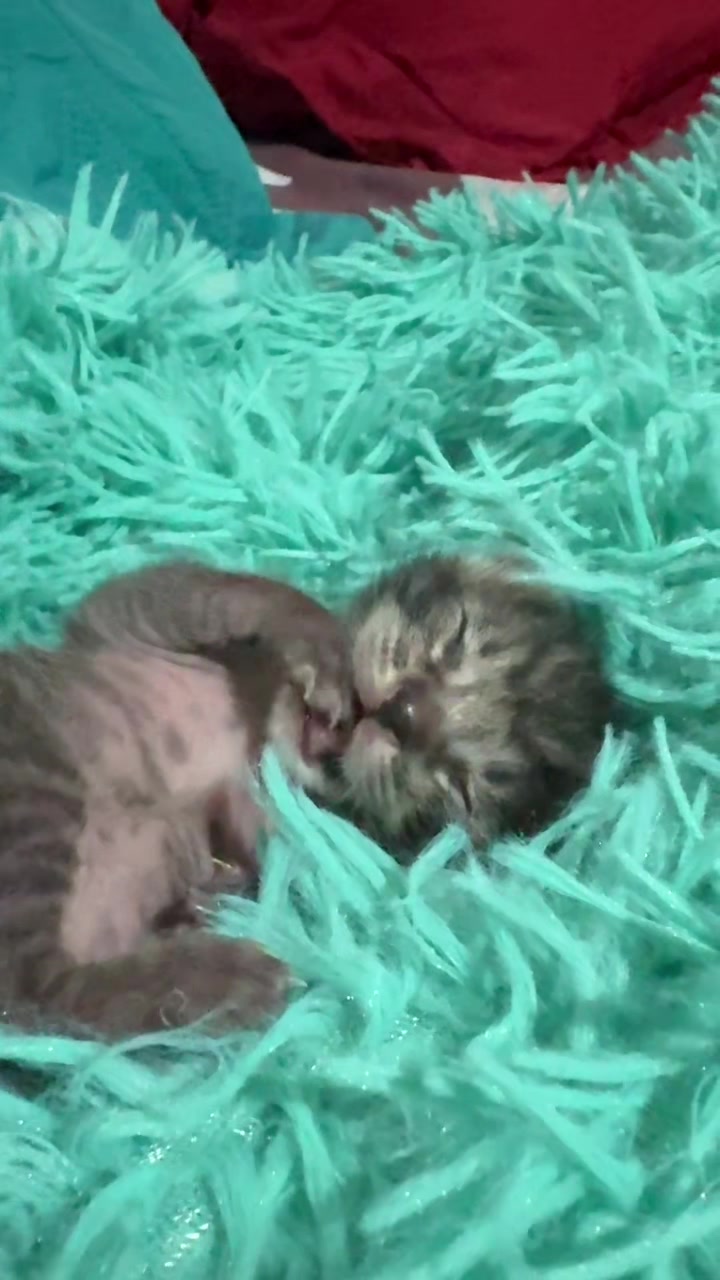 @JENII♡