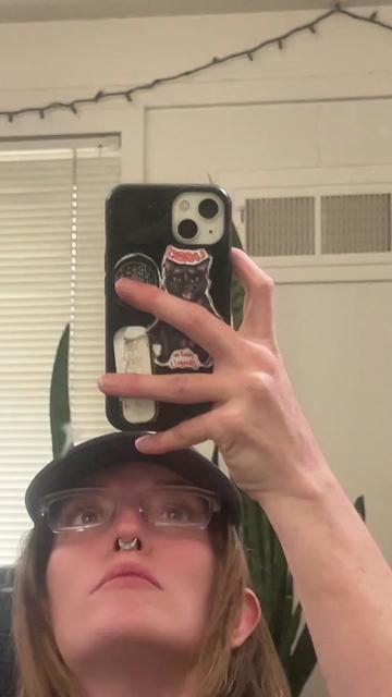 @icouldbemeaner