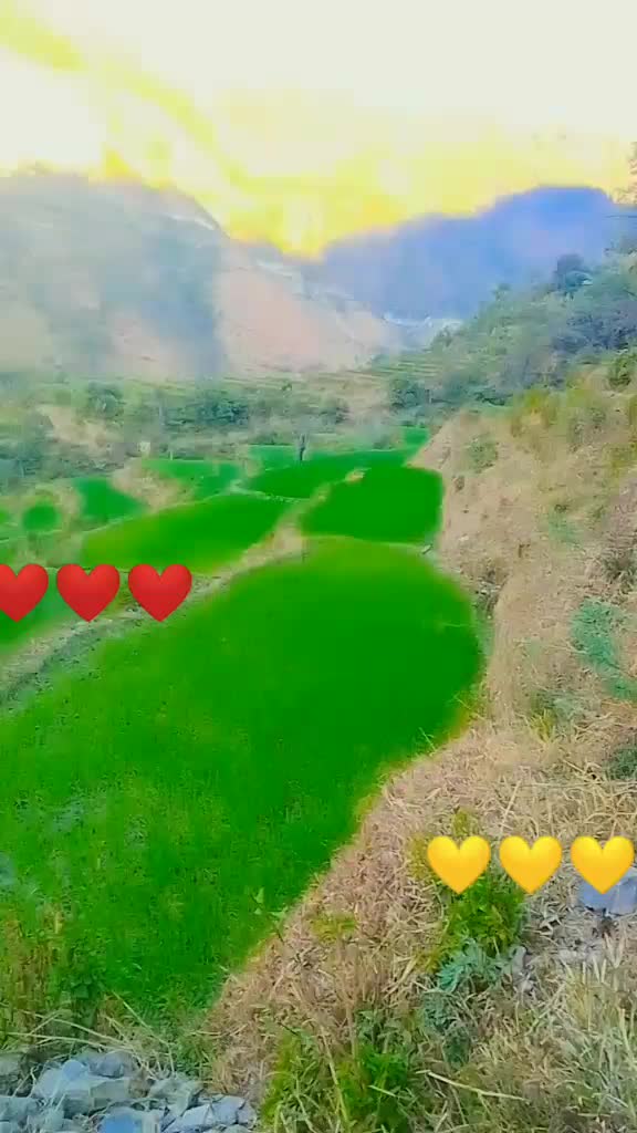 @@Labraj joshi##