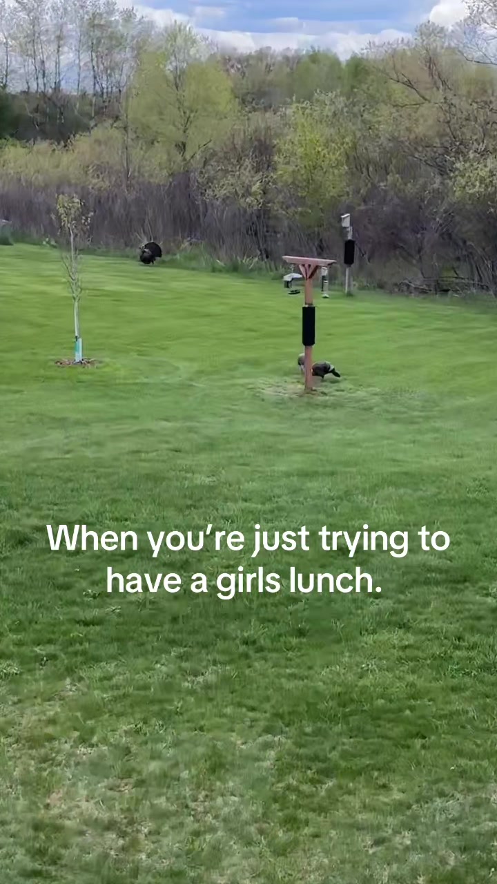@kellysuewho