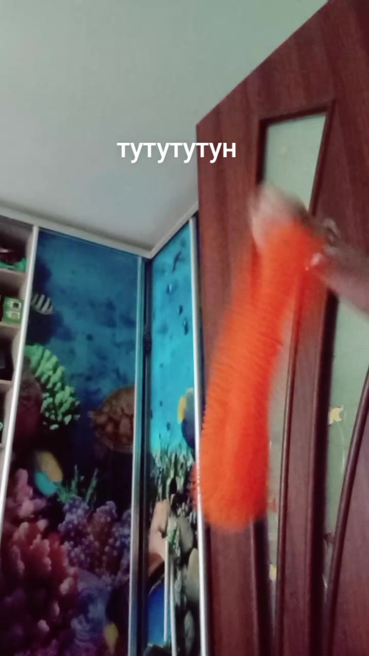 @🌸_Sakura_Sohop🌸