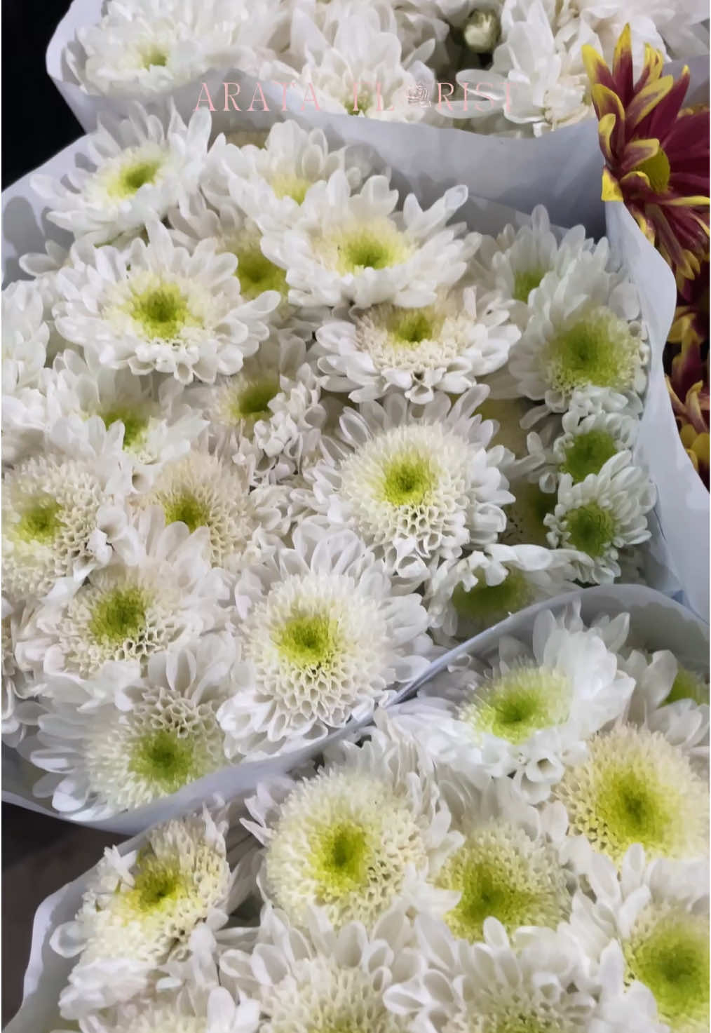 @Arata Florist