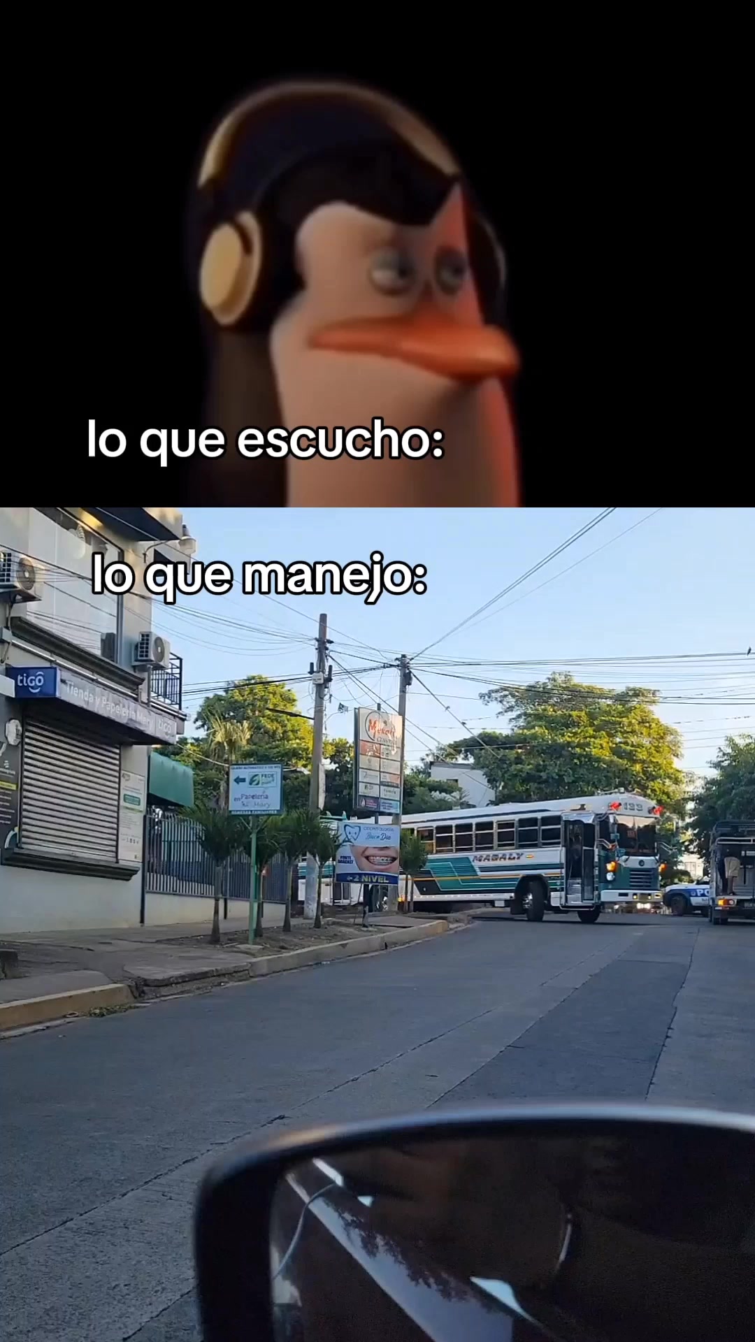 @Alexander García