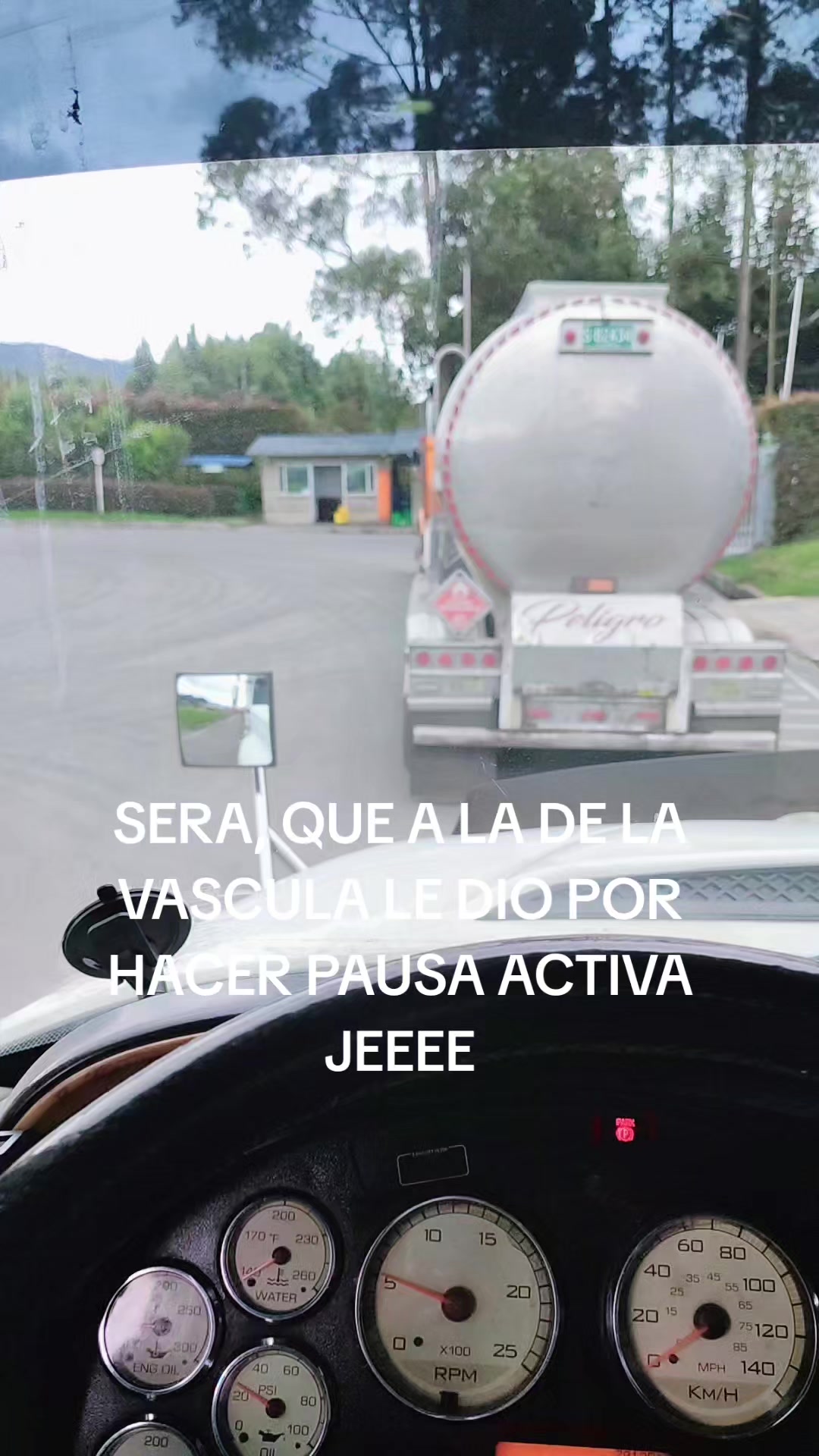 @M&aacute;&uuml;r&iacute;c&iacute;&oacute; V&aacute;rg&aacute;s