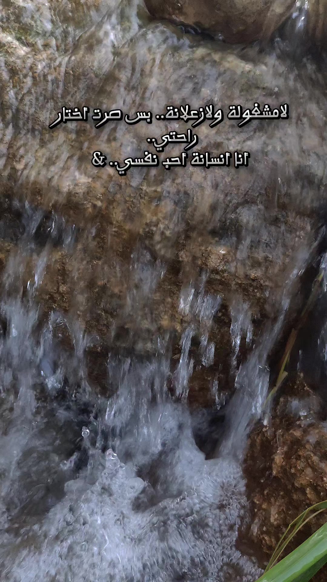 @🌸 زهرة النرجس🌸