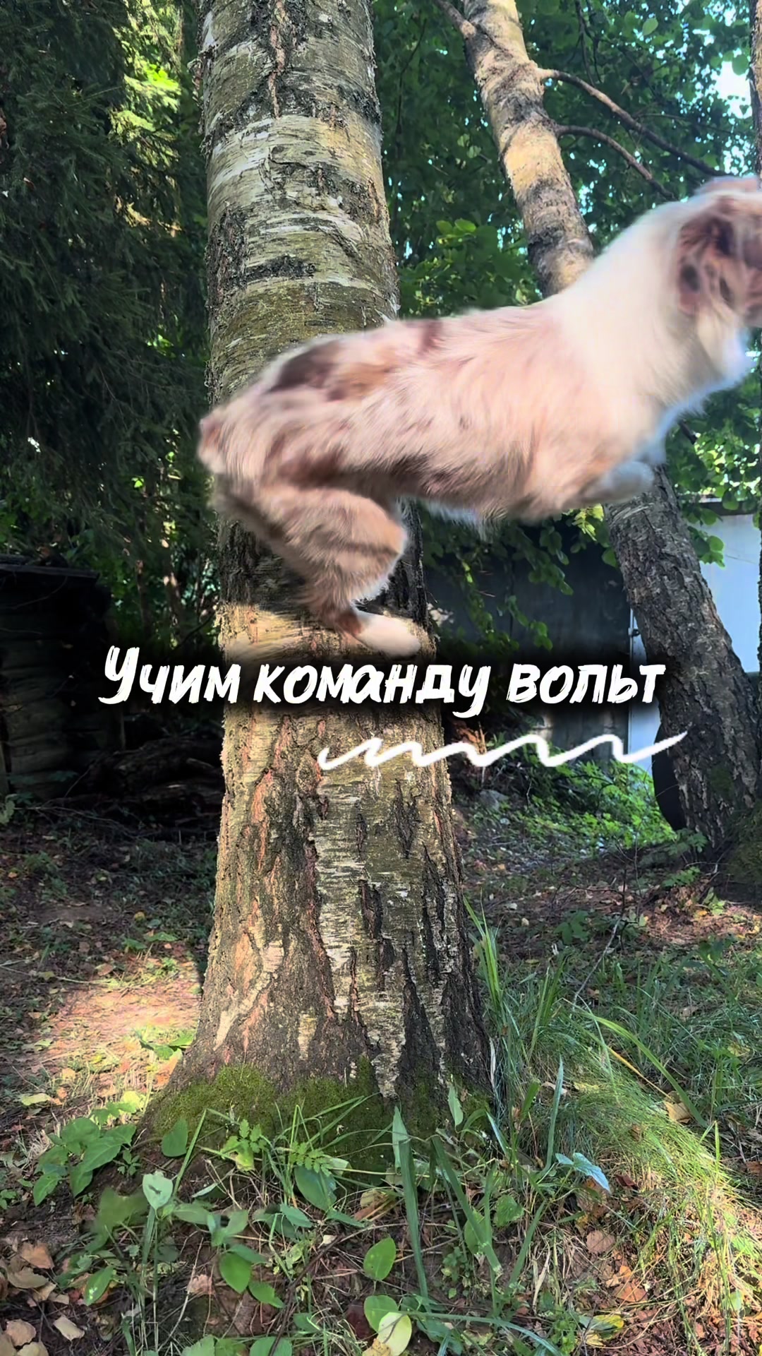 @𝚃𝚠𝚒𝚡