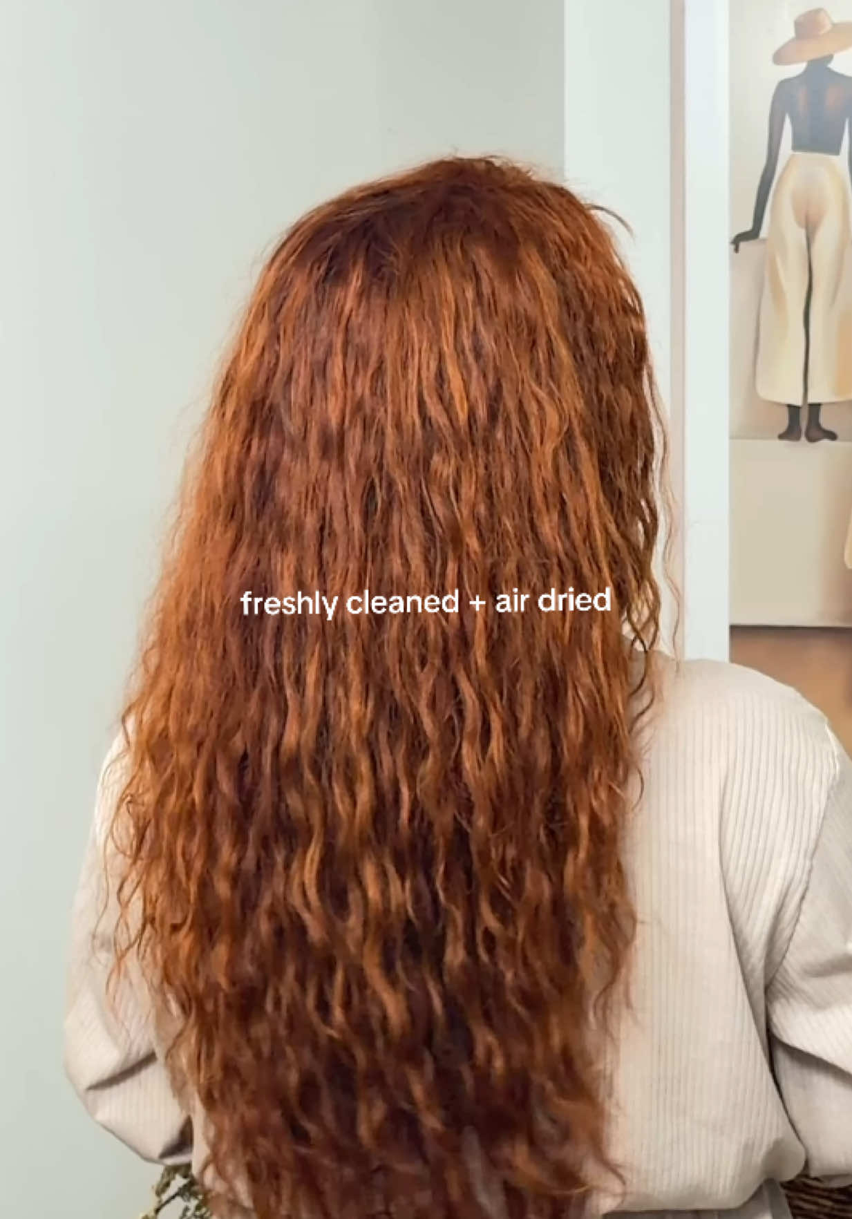 @Taylor Anise