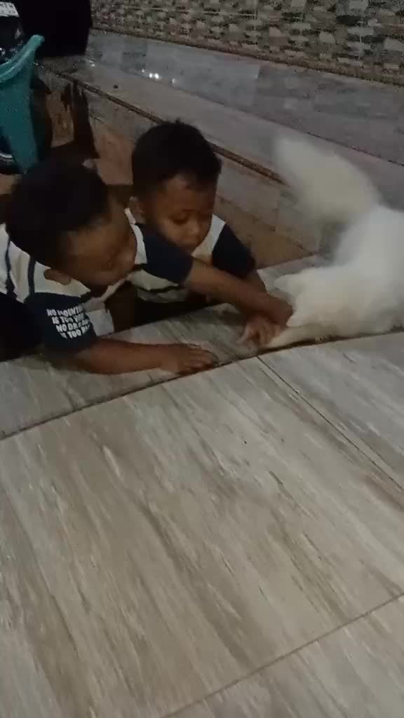 @iyan aja