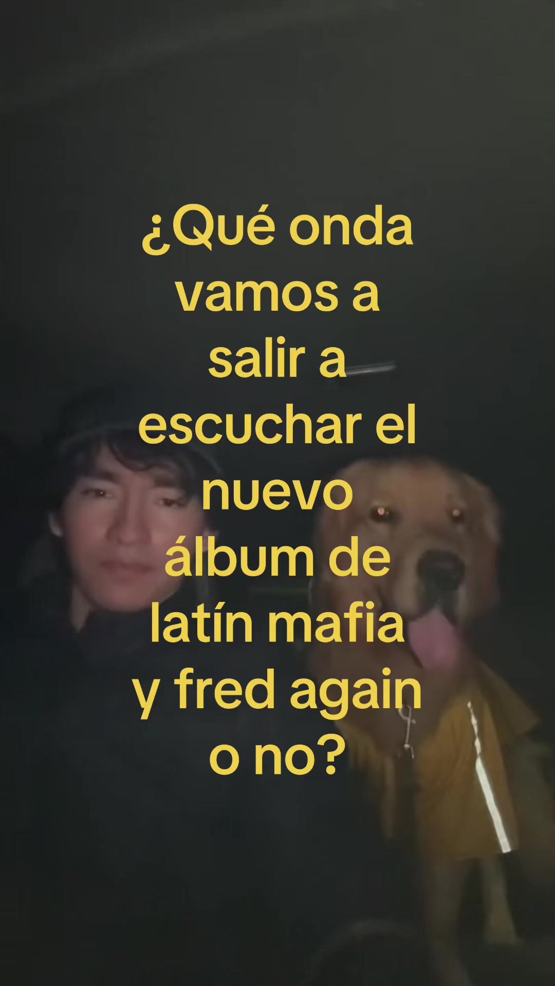 @JD